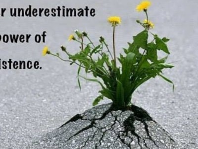 Power Of Persistence